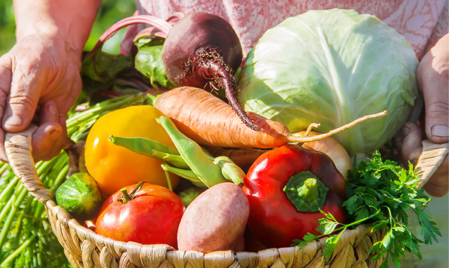 河内松原あたりで採れた新鮮な野菜を使用